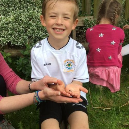 Observing tadpoles and frogs!