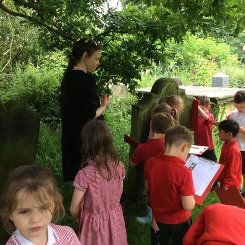 Wild flower identification walk