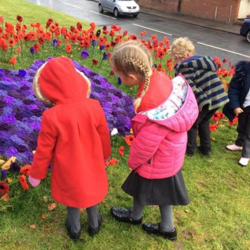 Remembrance Day learning